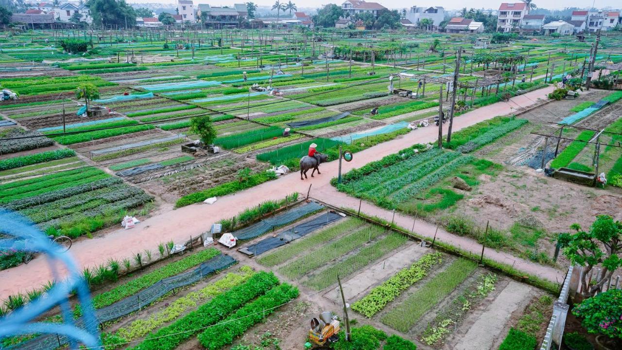 Tra Que Green Villa Hoi An Exteriér fotografie